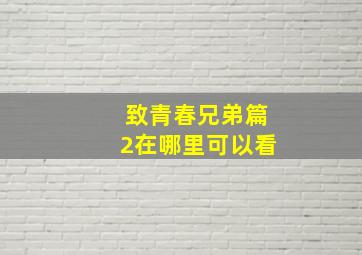 致青春兄弟篇2在哪里可以看