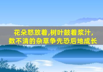 花朵怒放着,树叶鼓着浆汁,数不清的杂草争先恐后地成长