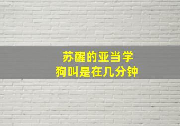 苏醒的亚当学狗叫是在几分钟