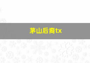 茅山后裔tx