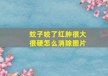 蚊子咬了红肿很大很硬怎么消除图片