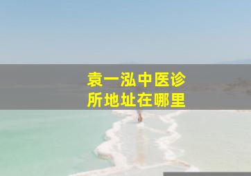 袁一泓中医诊所地址在哪里