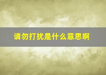 请勿打扰是什么意思啊