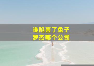 谁陷害了兔子罗杰哪个公司