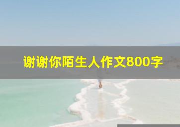 谢谢你陌生人作文800字