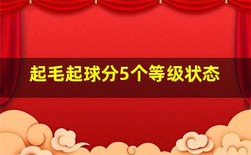 起毛起球分5个等级状态