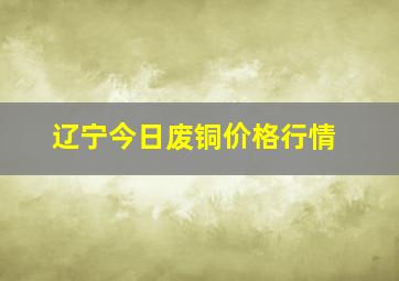 辽宁今日废铜价格行情