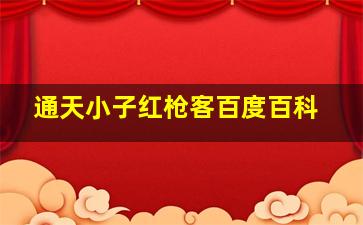 通天小子红枪客百度百科