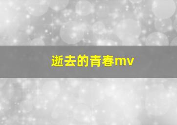 逝去的青春mv