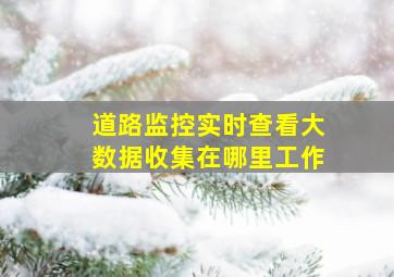 道路监控实时查看大数据收集在哪里工作