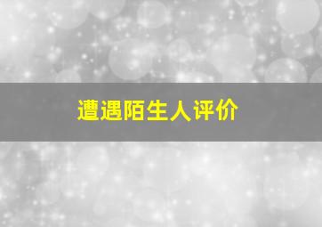 遭遇陌生人评价