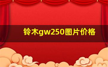 铃木gw250图片价格