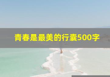 青春是最美的行囊500字