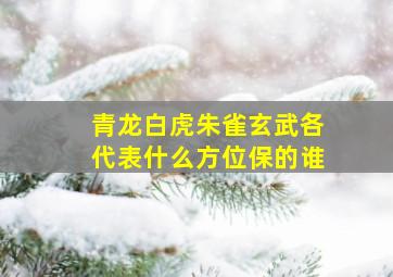 青龙白虎朱雀玄武各代表什么方位保的谁