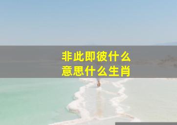 非此即彼什么意思什么生肖