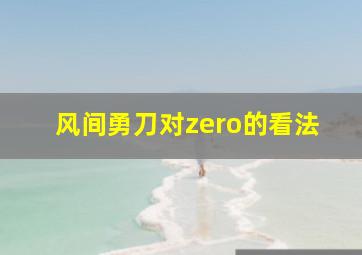 风间勇刀对zero的看法