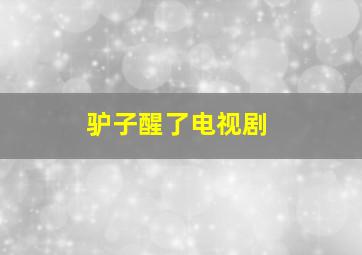 驴子醒了电视剧