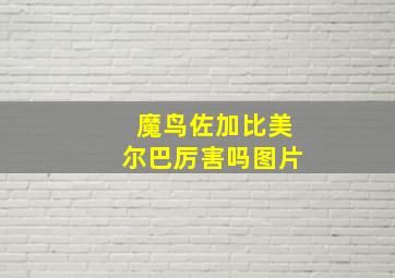 魔鸟佐加比美尔巴厉害吗图片