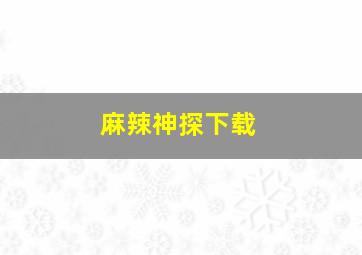 麻辣神探下载