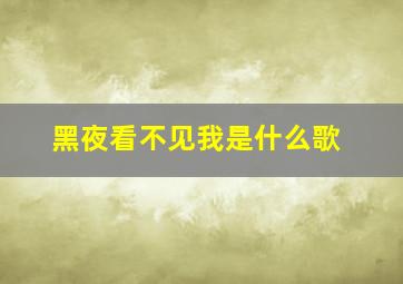 黑夜看不见我是什么歌