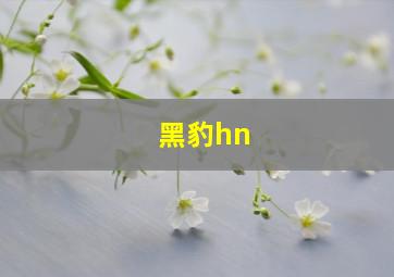 黑豹hn