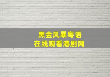 黑金风暴粤语在线观看港剧网