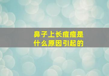 鼻子上长痘痘是什么原因引起的