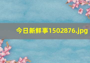 今日新鲜事1502876