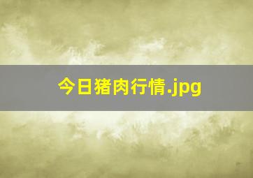 今日猪肉行情