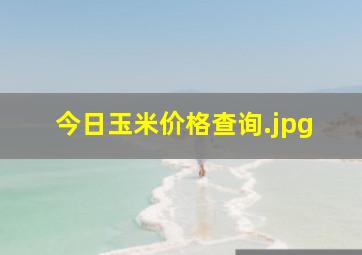 今日玉米价格查询