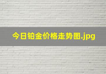 今日铂金价格走势图