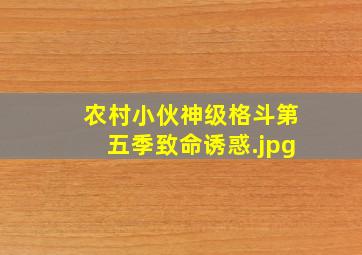 农村小伙神级格斗第五季致命诱惑