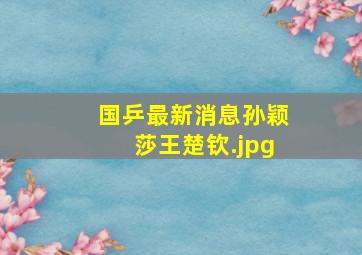 国乒最新消息孙颖莎王楚钦