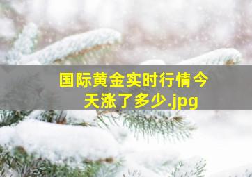 国际黄金实时行情今天涨了多少