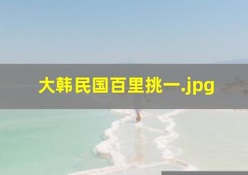 大韩民国百里挑一