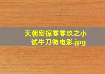 天朝密探零零玖之小试牛刀微电影