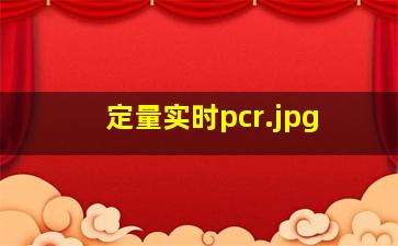 定量实时pcr