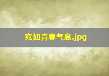 宛如青春气息