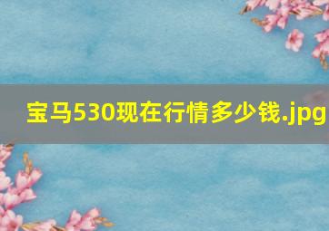 宝马530现在行情多少钱