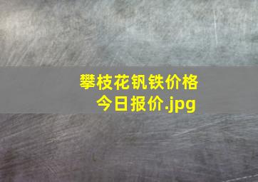 攀枝花钒铁价格今日报价