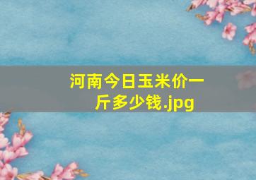 河南今日玉米价一斤多少钱