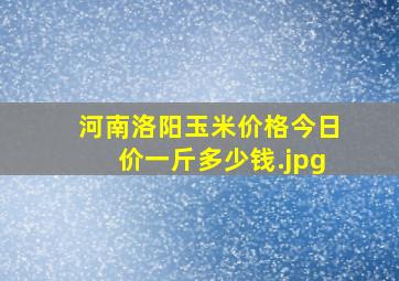 河南洛阳玉米价格今日价一斤多少钱