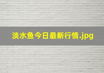 淡水鱼今日最新行情