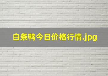 白条鸭今日价格行情