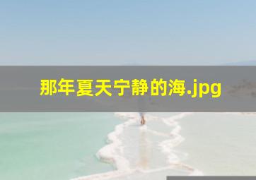 那年夏天宁静的海