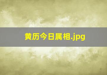 黄历今日属相