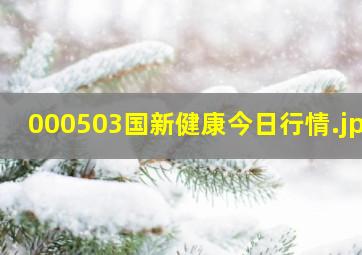 000503国新健康今日行情