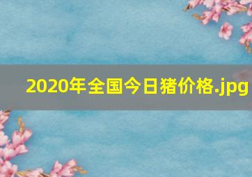 2020年全国今日猪价格