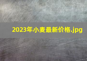 2023年小麦最新价格