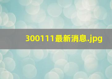 300111最新消息